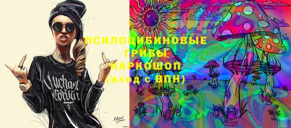 ешки Надым
