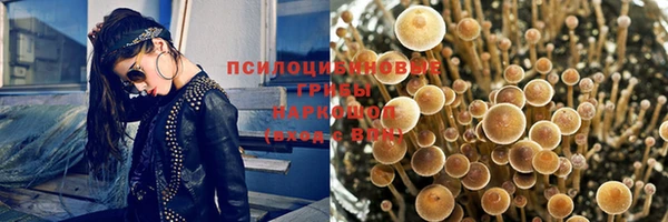 ешки Надым