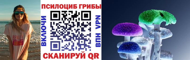 Псилоцибиновые грибы прущие грибы Тейково