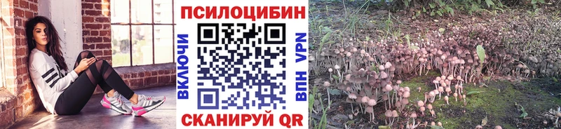 Галлюциногенные грибы мухоморы  omg как войти  Тейково 