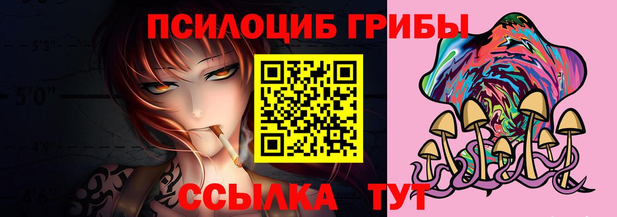 Галлюциногенные грибы прущие грибы Тейково