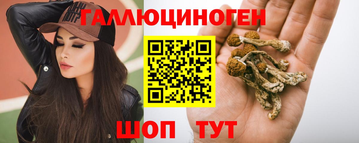 Тейково  Галлюциногенные грибы мухоморы  Галлюциногенные грибы Psilocybe  Вход с VPN 
